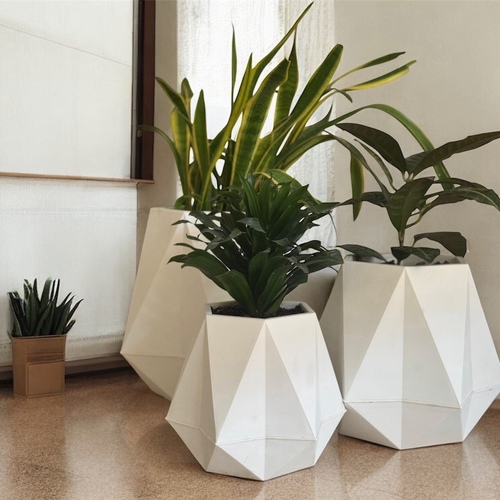 طقم عصري - طقم من ٣ يحتوي على نباتات داخلية سهلة العناية و حوض عصري هندسي باللون الأبيض. النباتات:سانسيفيريا (نبتة الثعبان) دراسينا كروتون