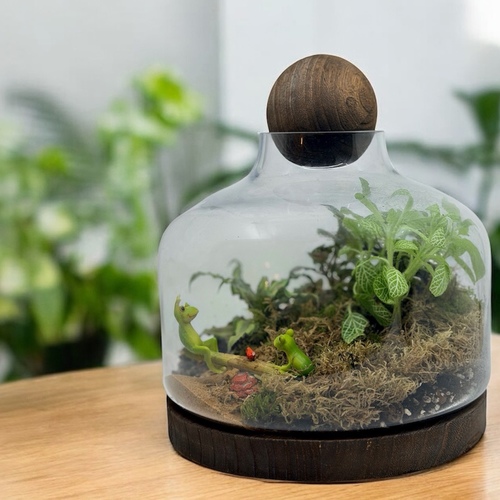 تيراريوم مغلق لارج 