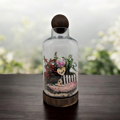 تيراريوم مغلق عيدميلاد 