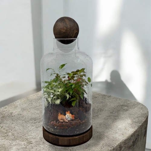 تيراريوم مغلق وسط