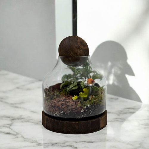 تيراريوم مغلق بتيت 