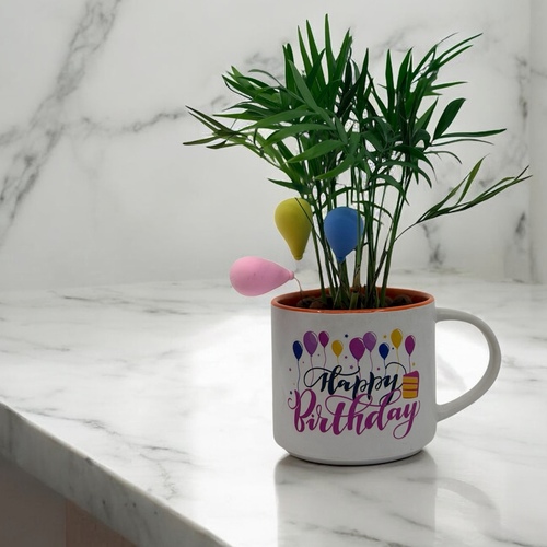 كوب عيدميلاد