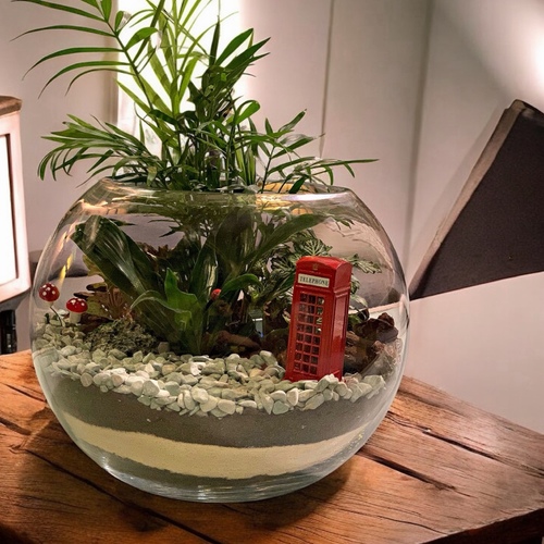 تيراريوم  تليفون لندن - حديقة زجاجية لارج