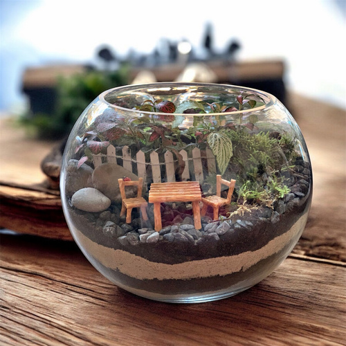 تيراريوم ركن هادئ - حديقة زجاجية حجم لارج سهلة العناية 