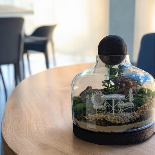 تيراريوم مغلق لارج- جلسة حديقة