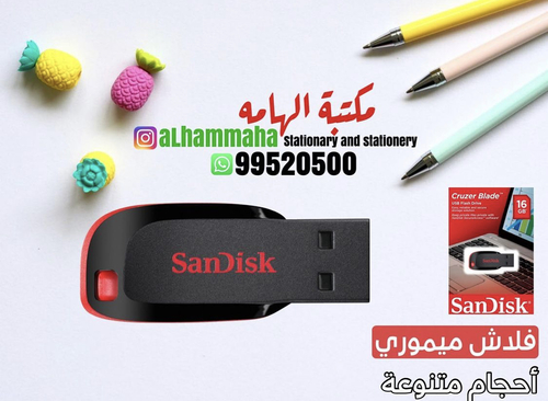 Sandisk Cruzer Blade USB Flash Drive