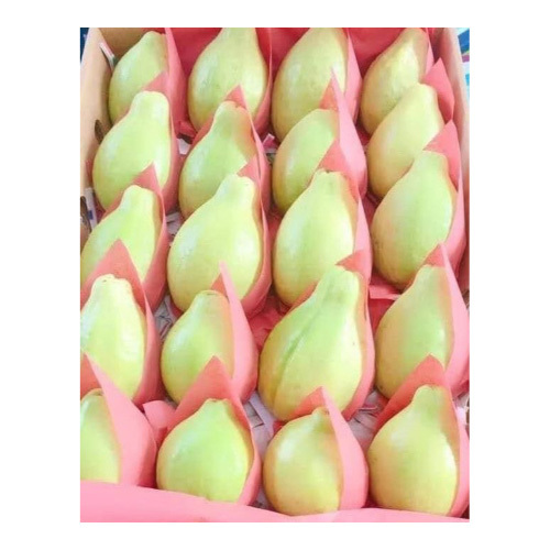 Guava Carton 2 kg