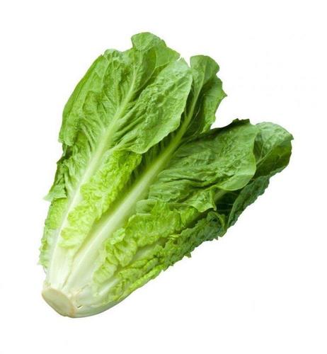 Lettuce, 250 fils