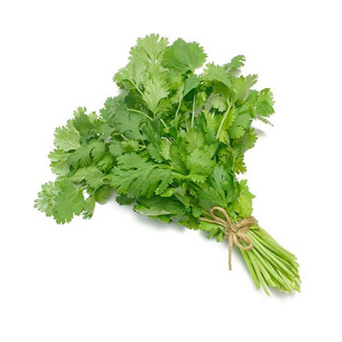 Coriander