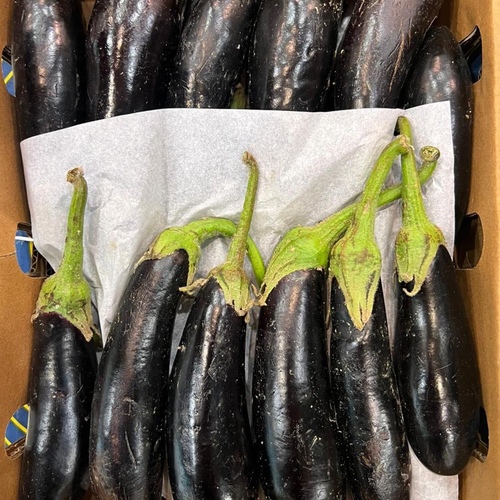 Large Eggplant Stuffed With cork1