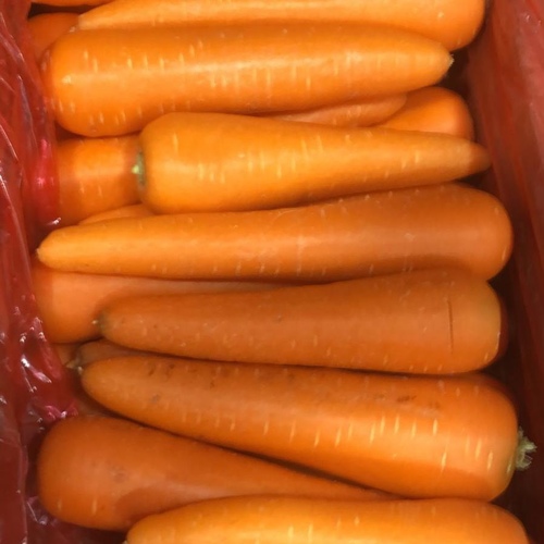 One kilo of carrots 250 fils