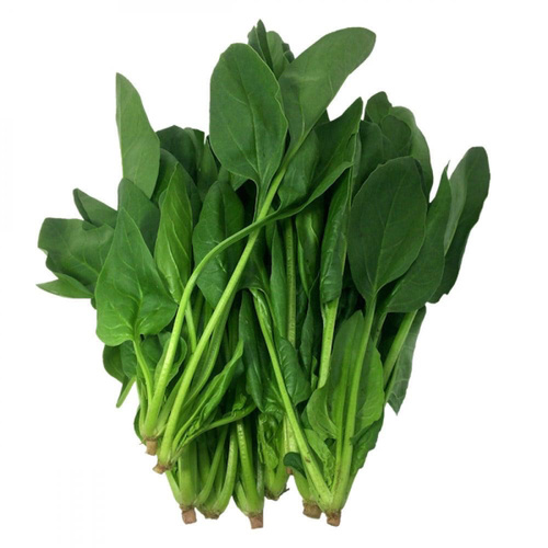 Spinach tied