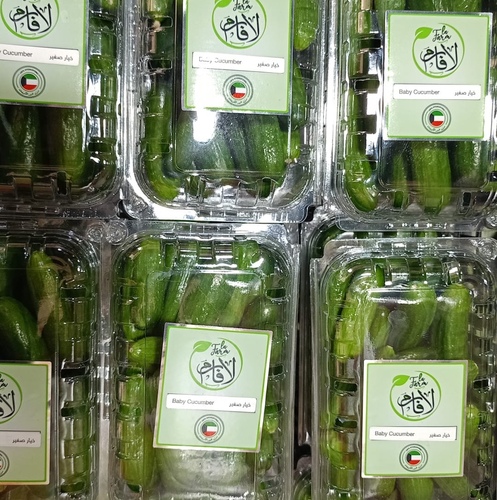 Baby cucumber, large box