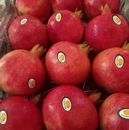 Pomegranate, Large Basket