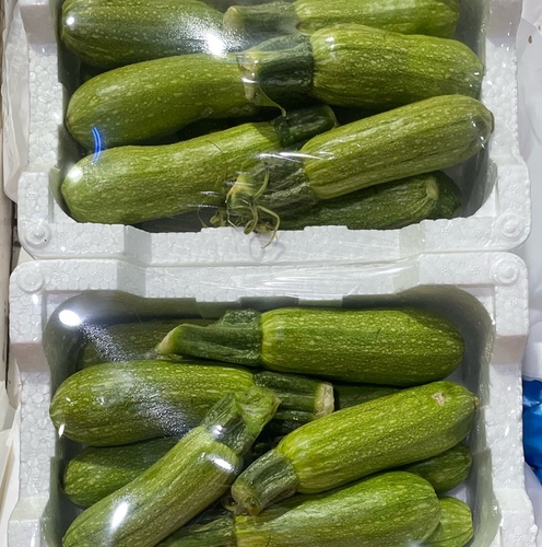 Zucchini Flyn