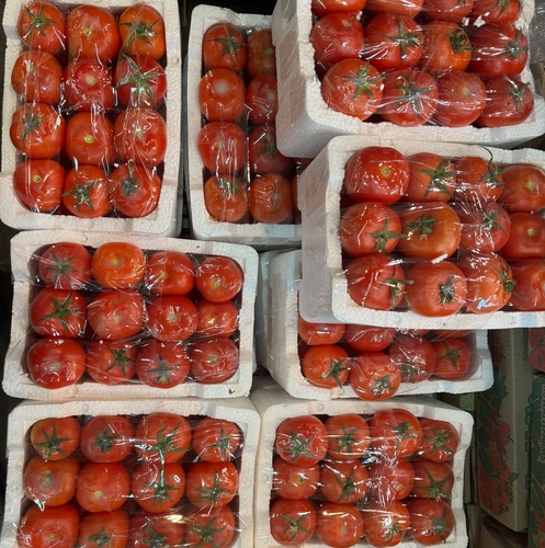 Medium Cork Kuwaiti Tomatoes