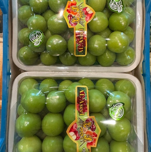 جنارك علبه كبيره