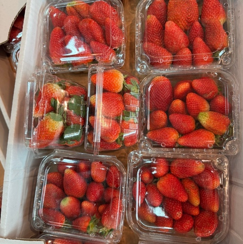 strawberry  1