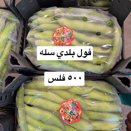 فول  بلدي  سله