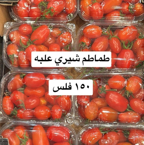 طماطم شيري علبه