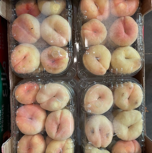 خوخ سكري علبه