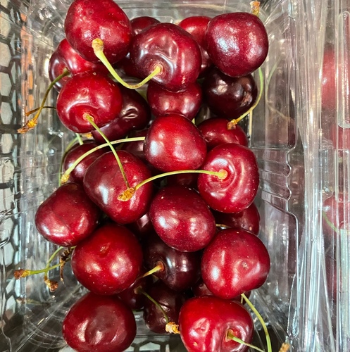 كرز علبه