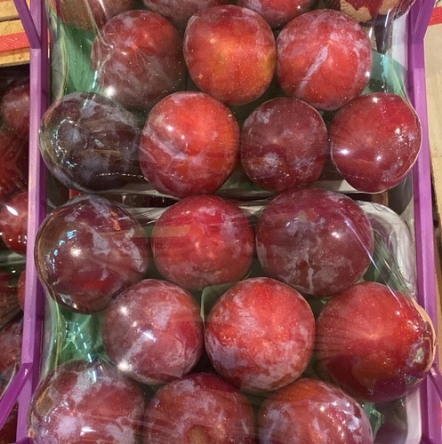 كوجا احمر علبه