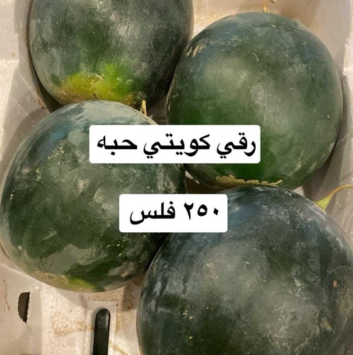 بطيخ كويتي حبه