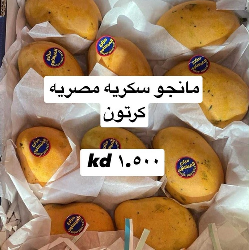 مانجو سكريه  كرتون