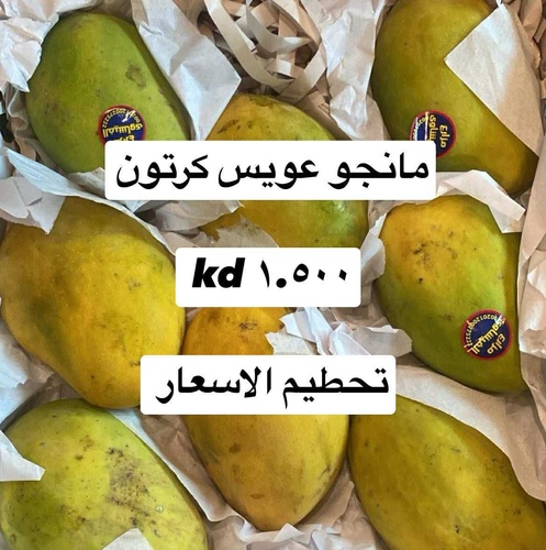مانجو عويس  كرتون