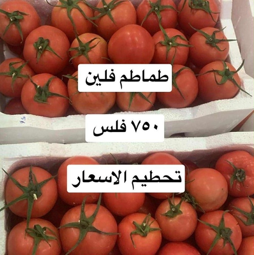 طماطم فلين