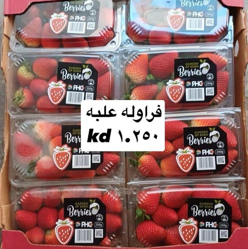 فراوله علبه
