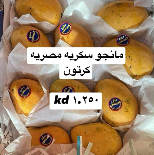 مانجو سكريه  كرتون