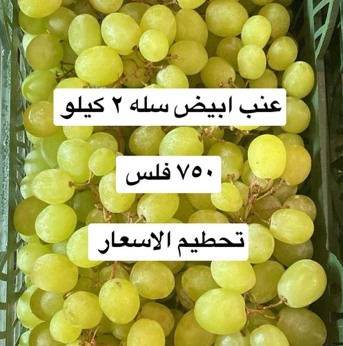 عنب ابيض سله
