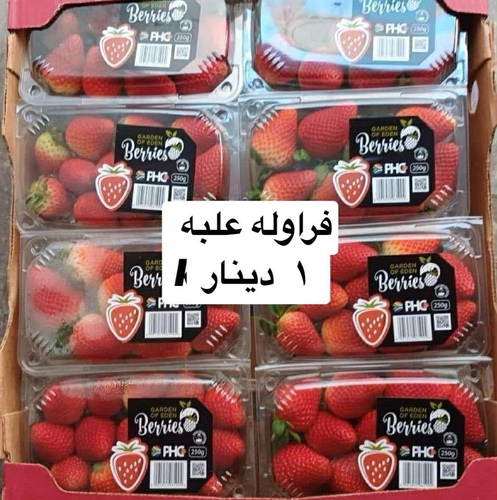 فراوله علبه