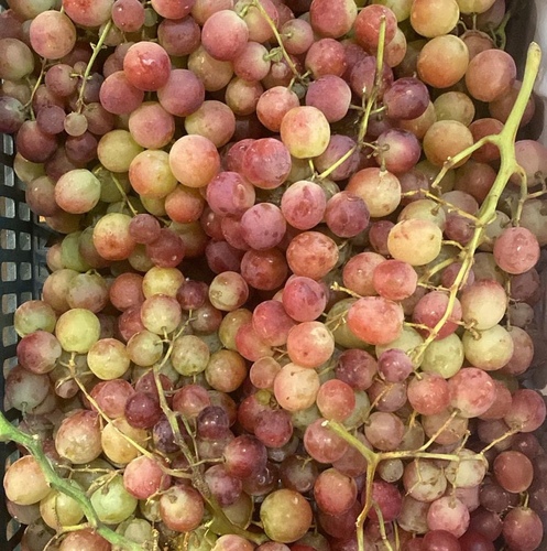 عنب احمر   كيلو