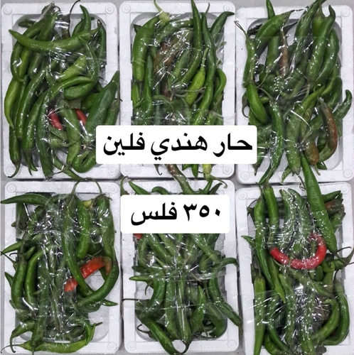 فلفل  حار علبه