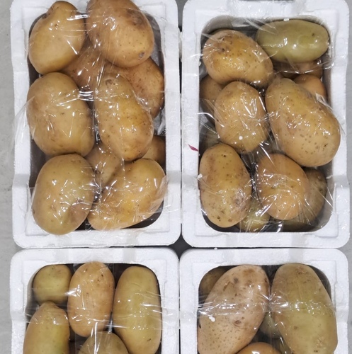 بطاطل-فلين