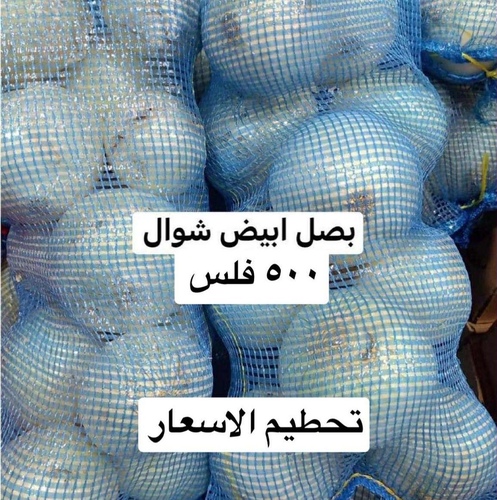 بصل ابيض  شوال