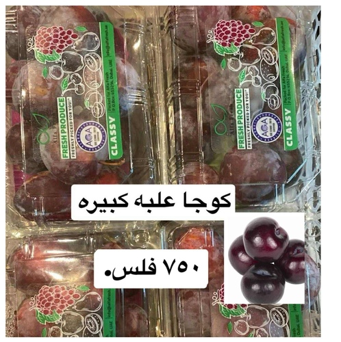 كوجا علبه