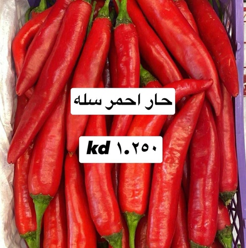 حار احمر سله