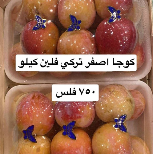كوجا اصفر فلين
