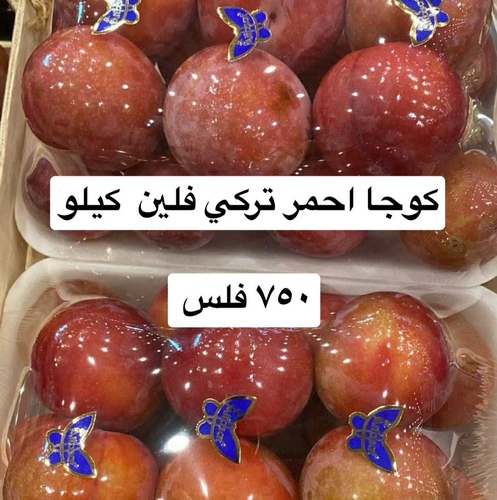 كوجا احمر فلين