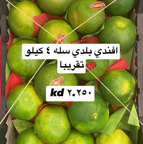 افندي بلدي سله