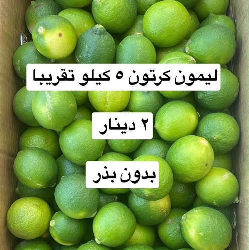 ليمون اخضر كرتون ٥ كيلو بدون بذر
