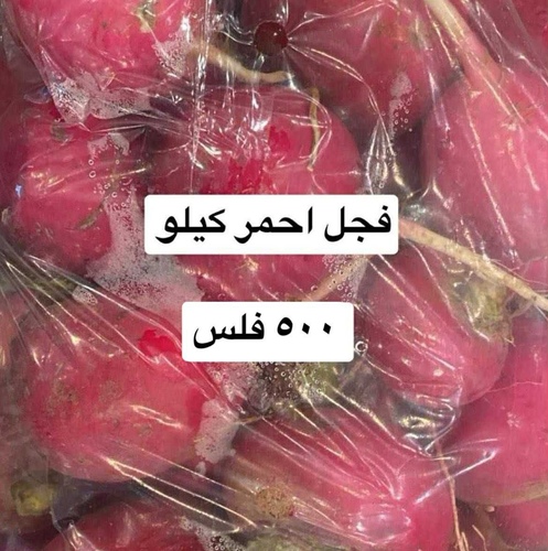 فجل احمر كيلو