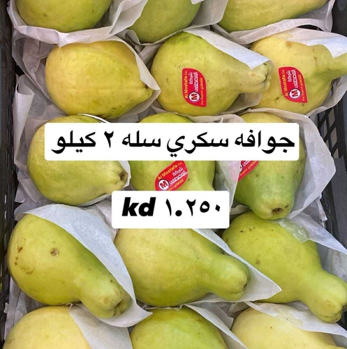 جوافه سله ٢ كيلو