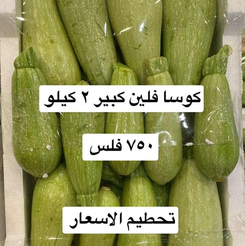 كوسا فلين٢ كيلو