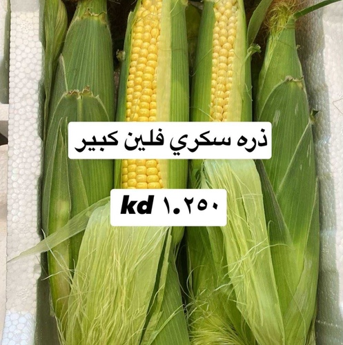ذره فلين كبير