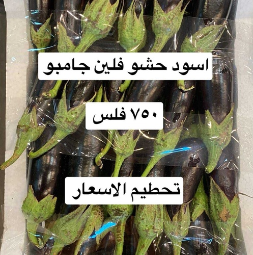 باذنجان حشو فلين كبير